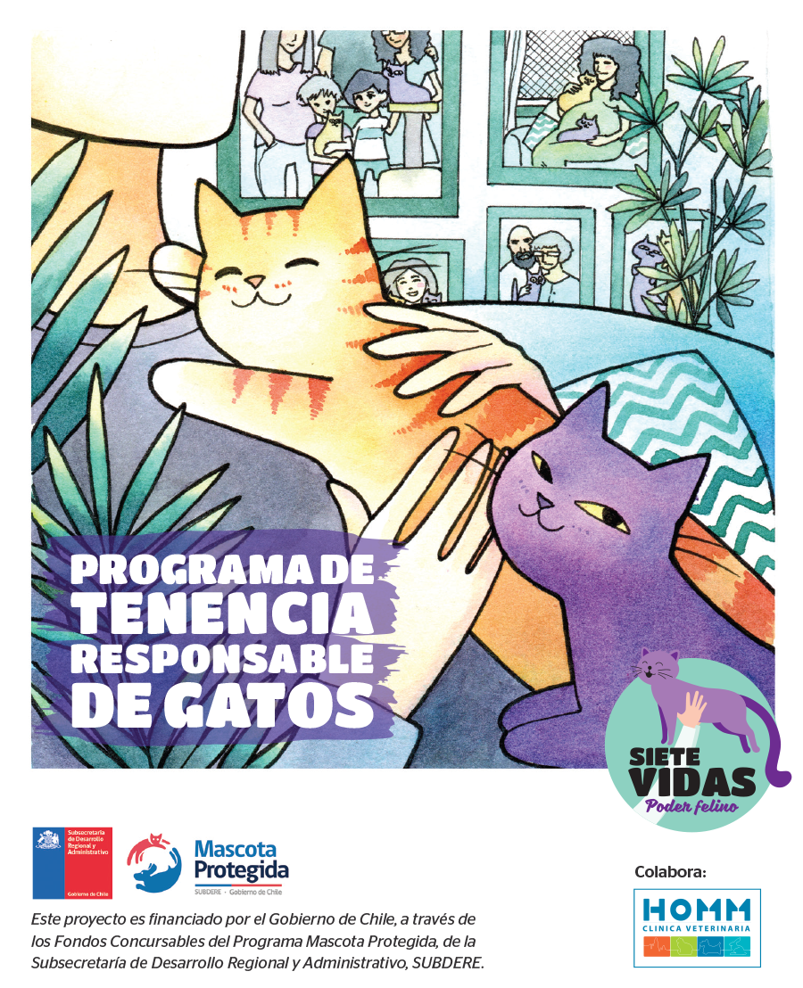 “Programa de tenencia responsable de gatos”