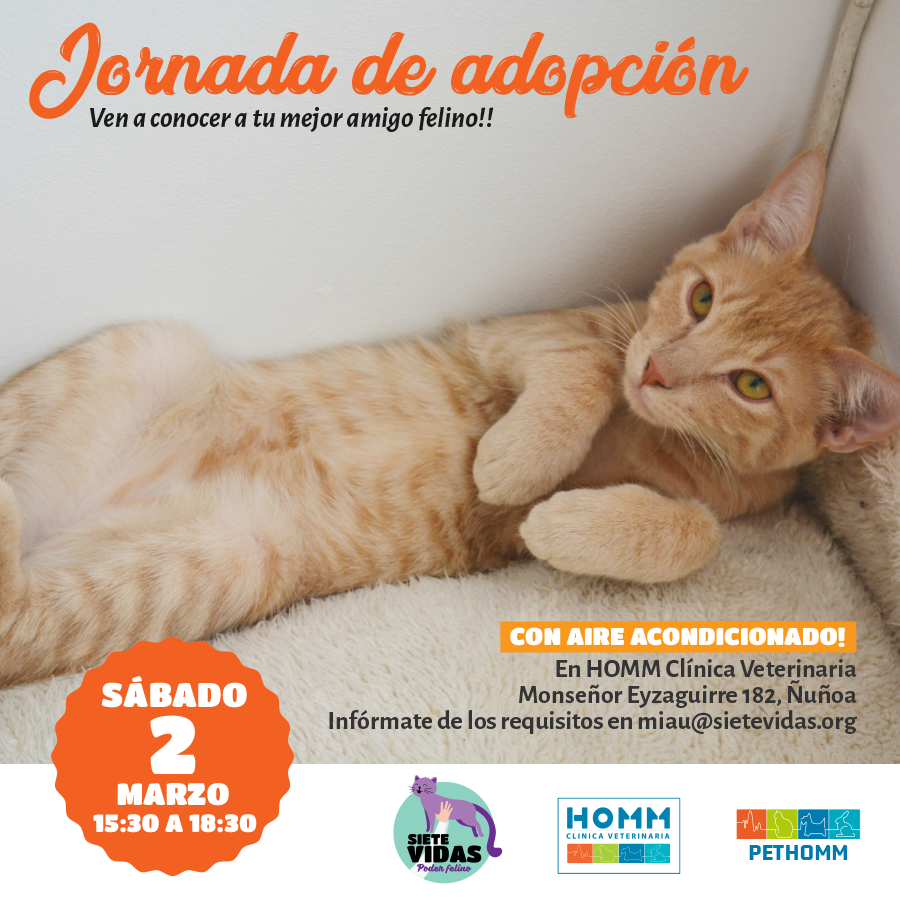 Jornada de adopción