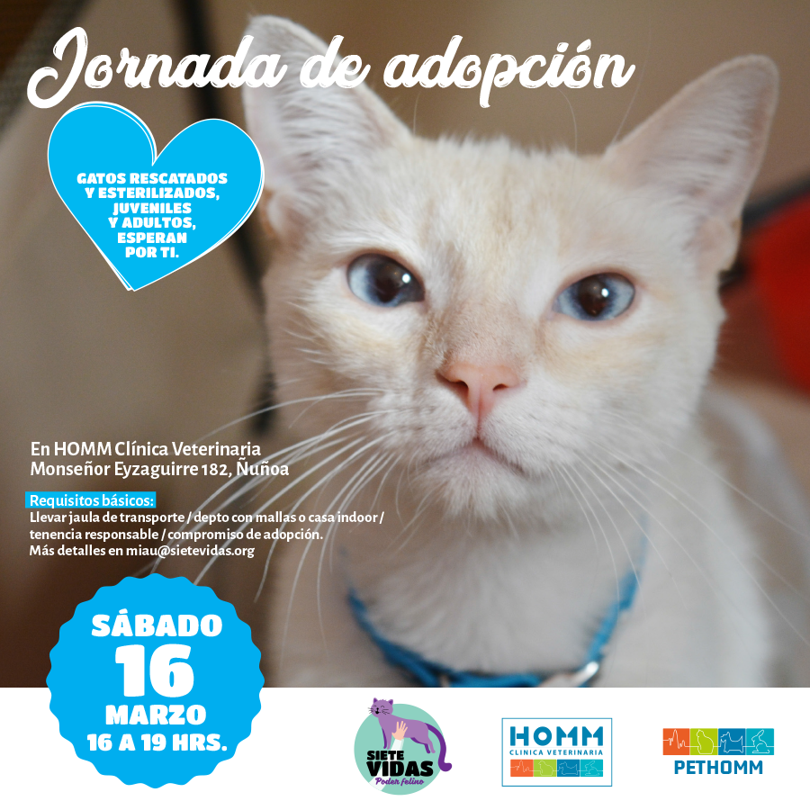 Jornada de adopción – 16 de marzo
