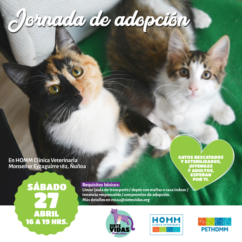 Jornada de adopción – 27 de abril