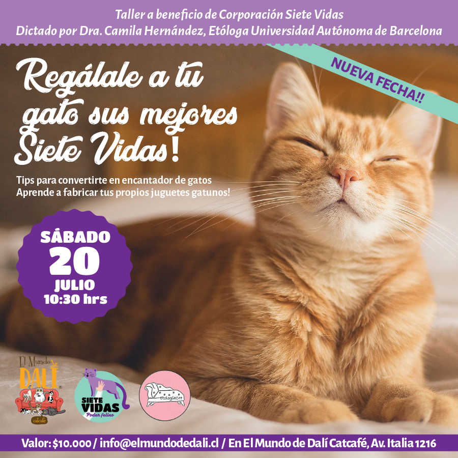 TALLER A BENEFICIO DE SIETE VIDAS