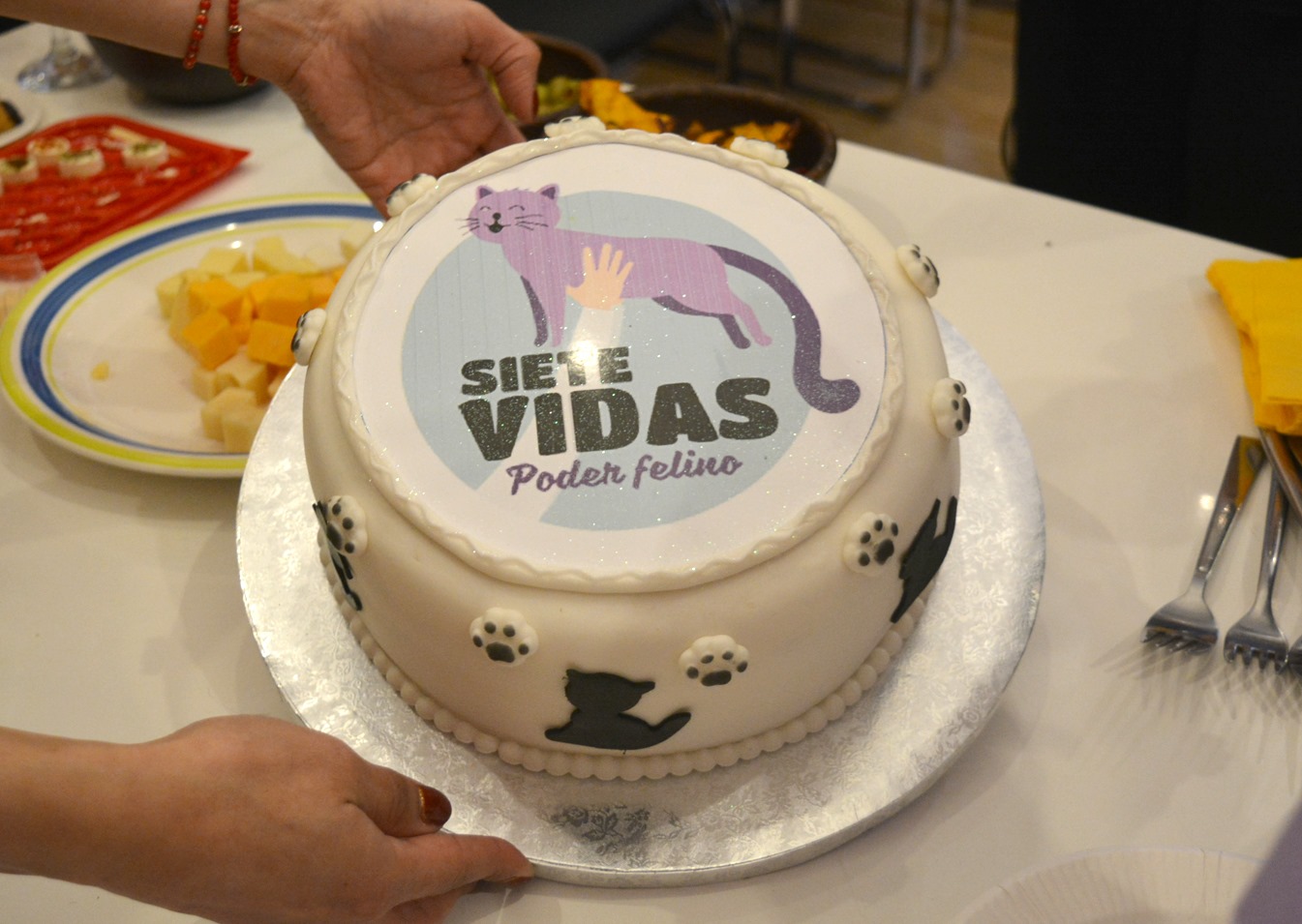 CEREMONIA DE CLAUSURA DEL PROGRAMA DE TENENCIA RESPONSABLE DE GATOS 2019