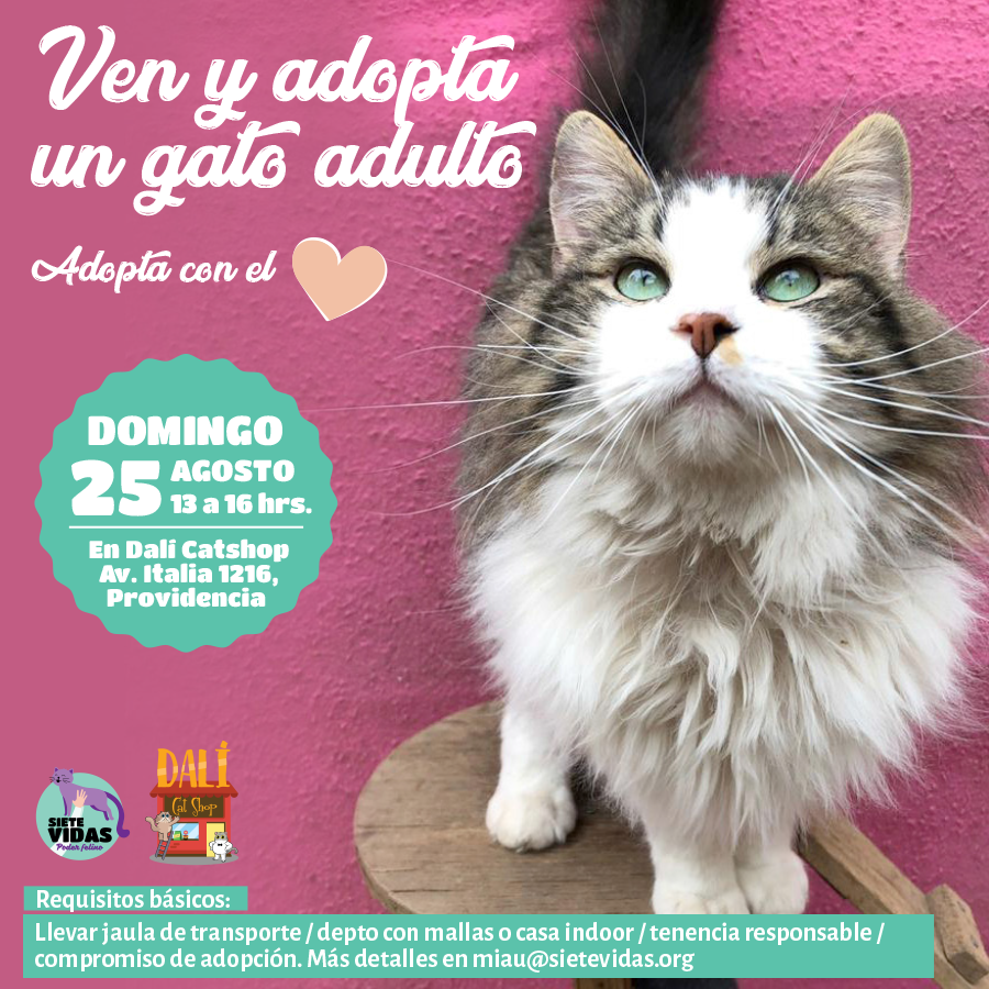 JORNADA DE ADOPCION / 25 AGO