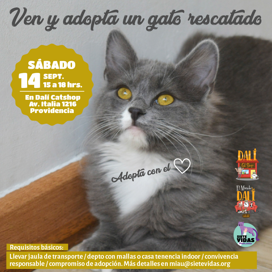JORNADA DE ADOPCIÓN / 14 DE SEPT