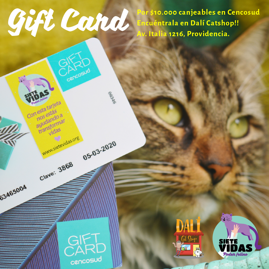 GIFT CARD SIETE VIDAS