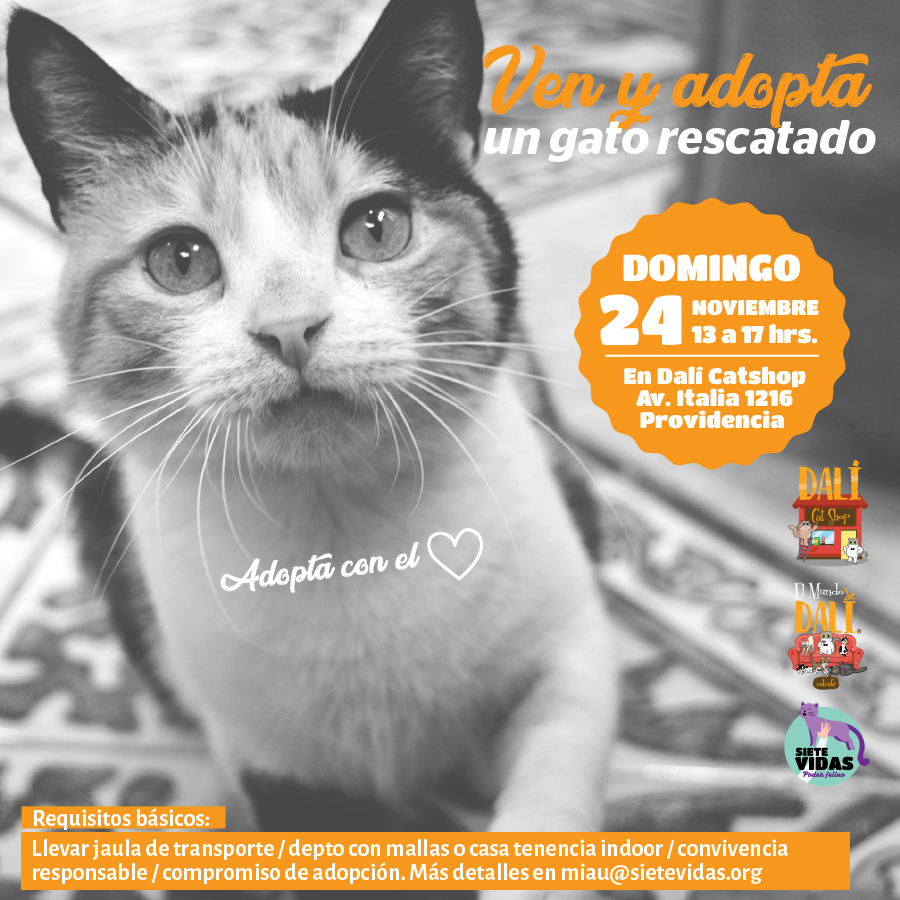 JORNADA DE ADOPCIÓN / 24 DE NOV