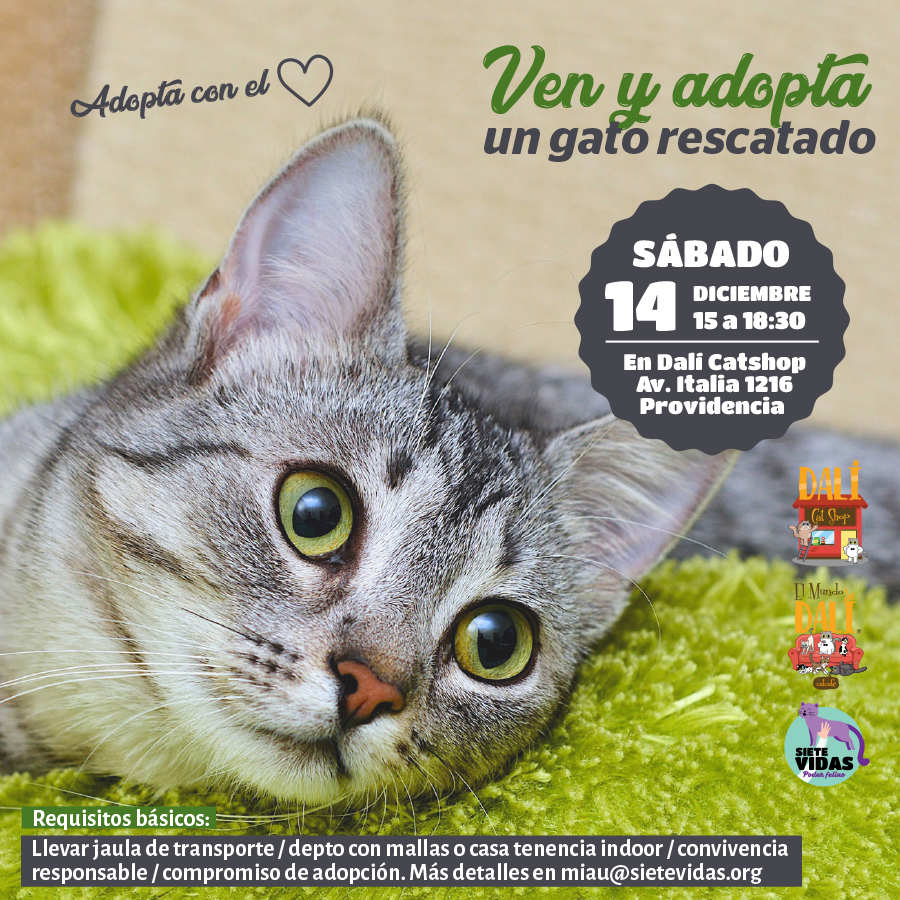 JORNADA DE ADOPCIÓN / 14 DE DIC