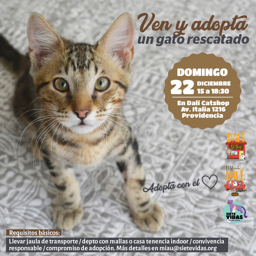 JORNADA DE ADOPCIÓN / 22 DE DIC