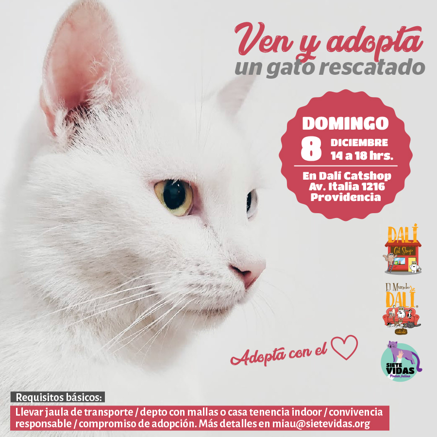 JORNADA DE ADOPCIÓN / 8  DE DIC