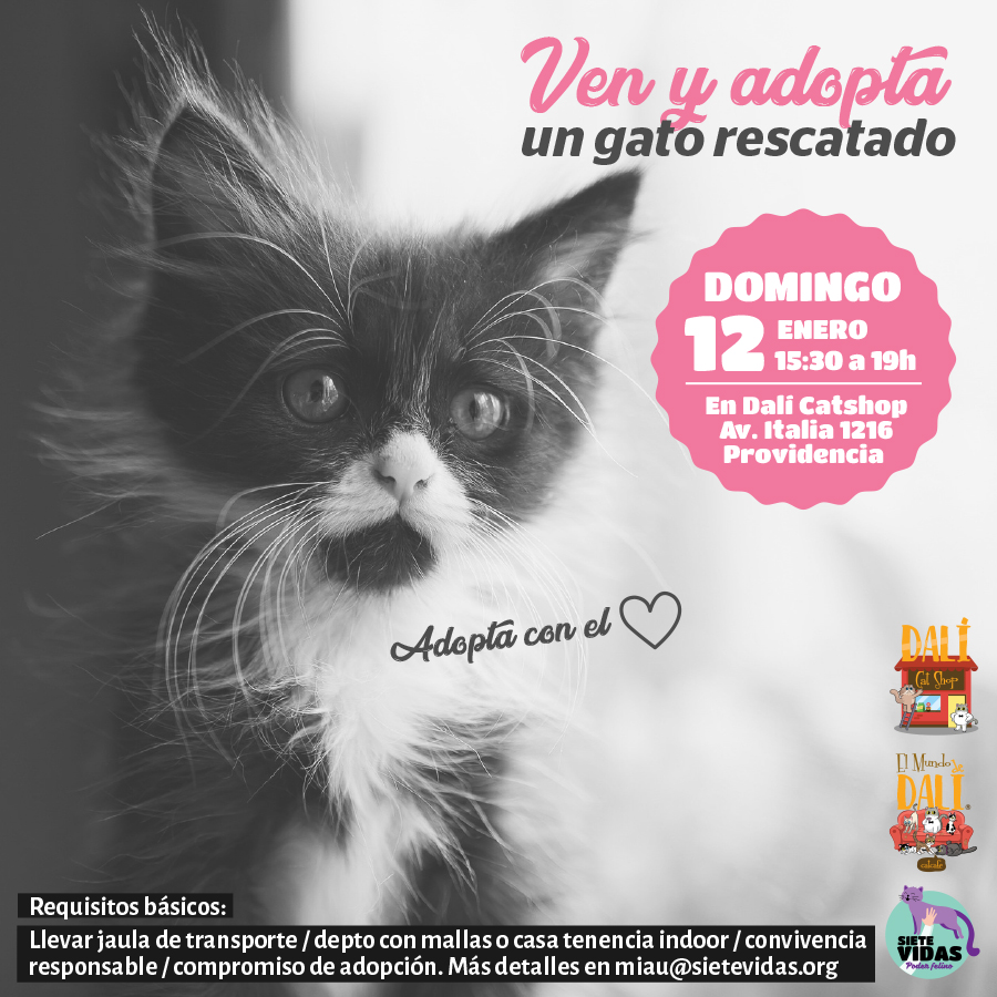 JORNADA DE ADOPCIÓN / 12 DE ENERO